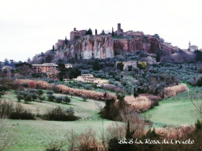 La Rosa di Orvieto Orvieto